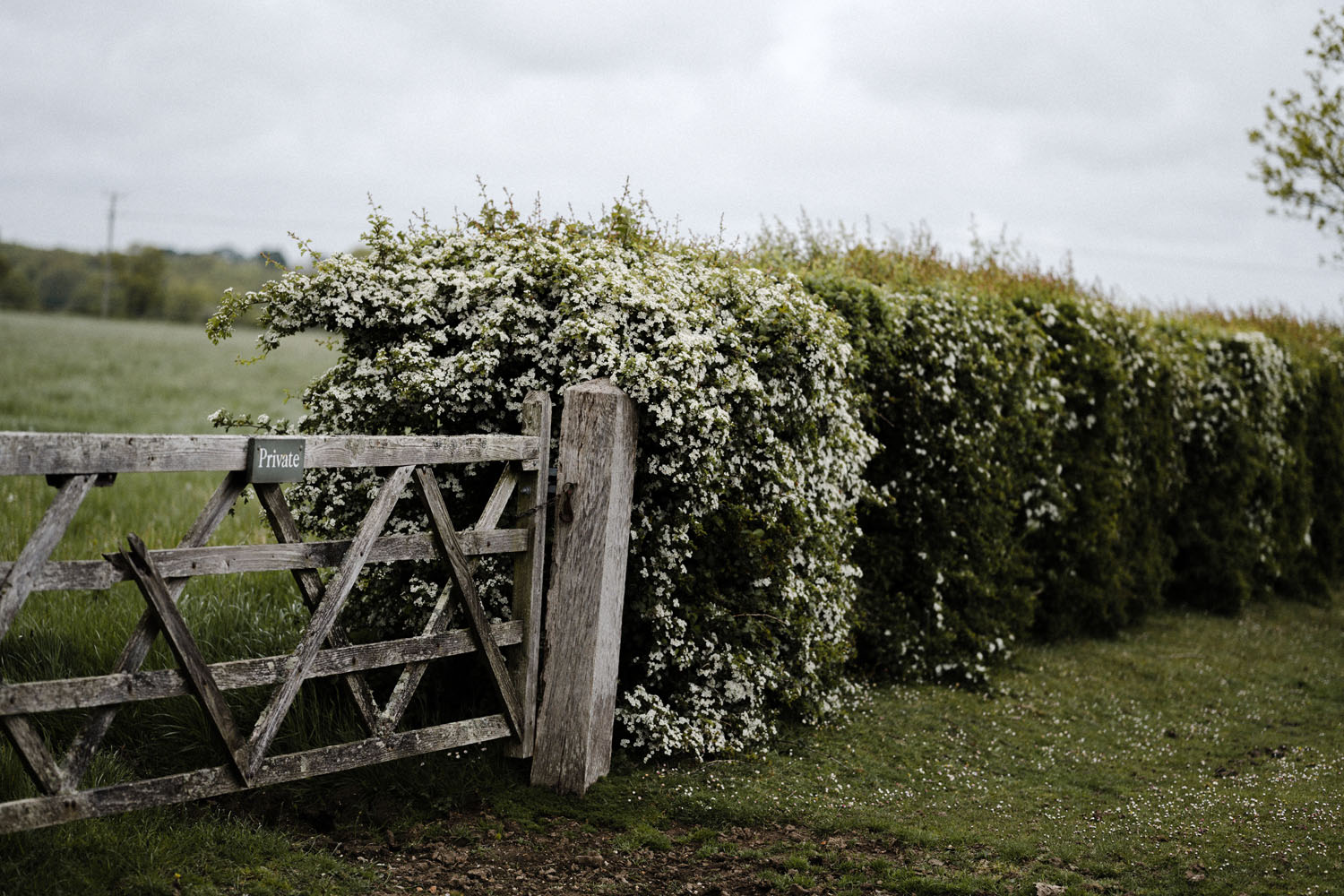 annie-spratt-wSOyw11WQxM-unsplash