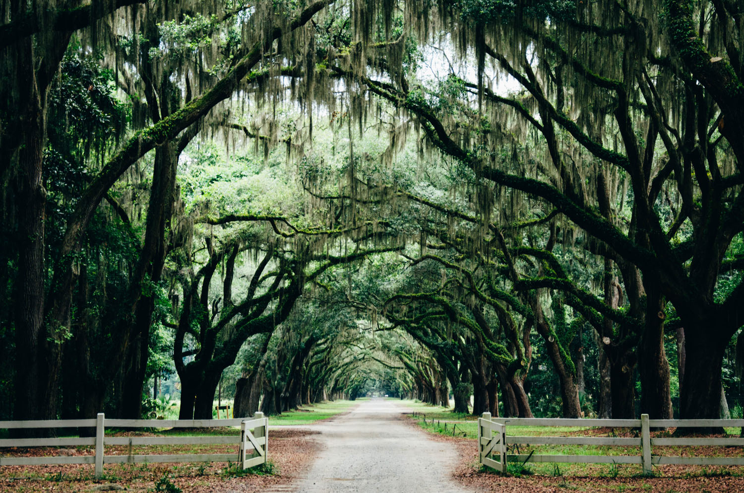 ashley-knedler-9sw9ivkd9oy-unsplash