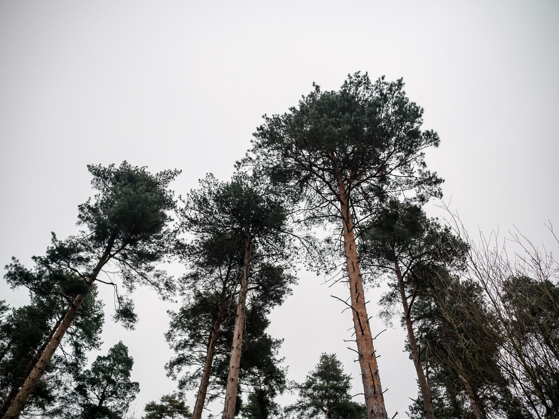 luke-galloway-oqvz_q-izy0-unsplash
